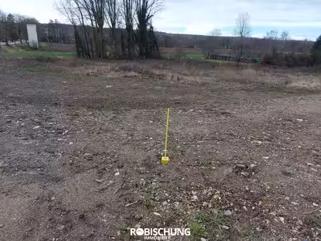 terrain : hirtzbach terrain de 35.07 ares
