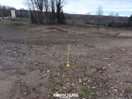 terrain : hirtzbach terrain de 35.30 ares