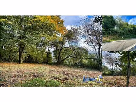 terrain à vendre à vellereux face n 57 mabompré (vba83676)