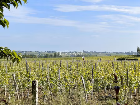 opportunité unique : parcelle de vignes en aoc pomerol à sai