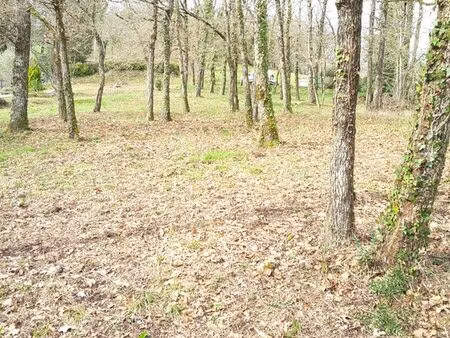 terrain 1740 m2 dont 924 m2 constructibles