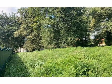 terrain mazerolles m² t- à vendre  115 000 €