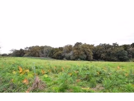 terrain momuy m² t- à vendre  33 000 €