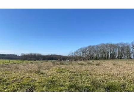 terrain ozourt 1900 m² t- à vendre  73 000 €