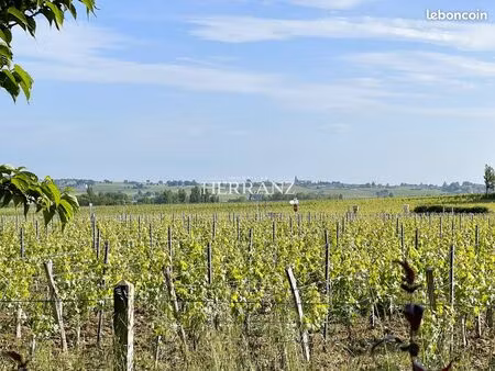 terrain 3905 m² pomerol
