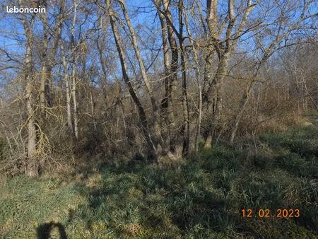 térrain de loisirs bord de riviere