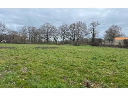 terrain saint-étienne-de-mer-morte m² t- à vendre  77 000 €