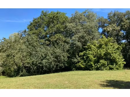 terrain sarbazan 1344 m² t- à vendre  55 000 €