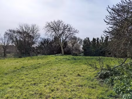 vente terrain à batir 693 m² à bourcefranc-le-chapus (17560)  123 600 €