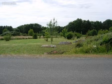 terrain constructible