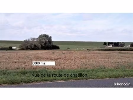 terrain constructible