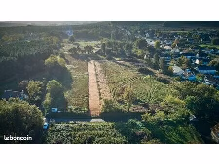 terrain constructible viabilisé le mans