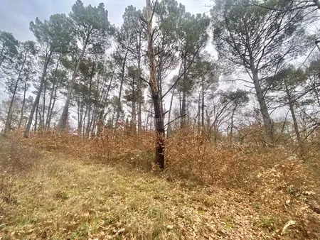 vente terrain 1424 m² montans (81600)