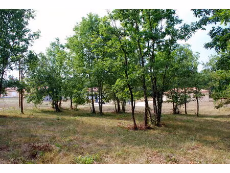 vente terrain montdoumerc (46230)