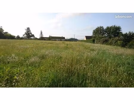 terrain constructible