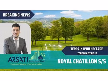 terrain constructible 10000 m2 en z.i - noyal chatillon sur seic