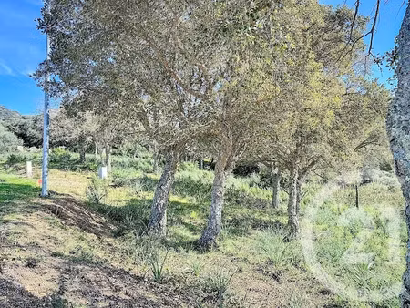 vente terrain à batir 764 m² à porto-vecchio (20137)  212 000 €