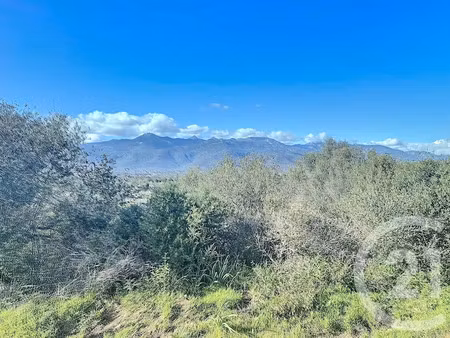 vente terrain à batir 804 m² à porto-vecchio (20137)  229 000 €