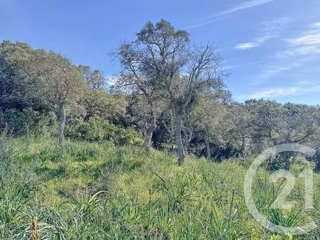 vente terrain à batir 899 m² à porto-vecchio (20137)  245 000 €