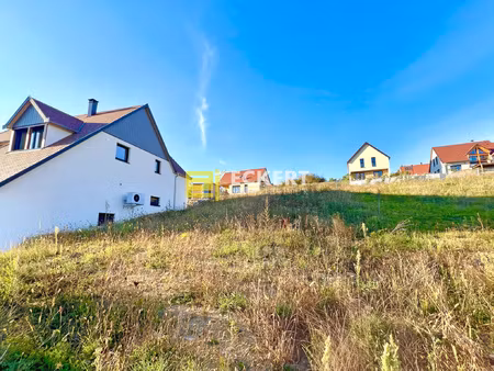 a rosenwiller   terrain de 6 ares