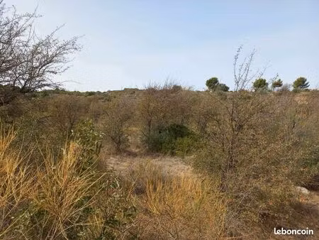 location terrain agricole