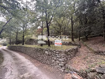 olargues  à vendre terrain agricole de 2435 m2