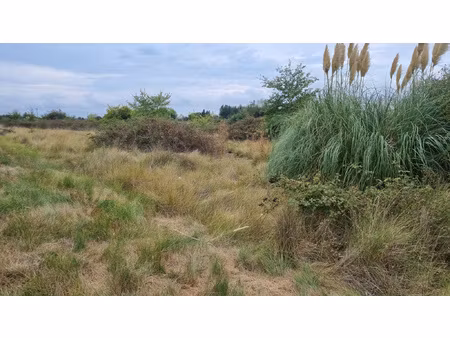 terrain agricole saint laurent d'aigouze