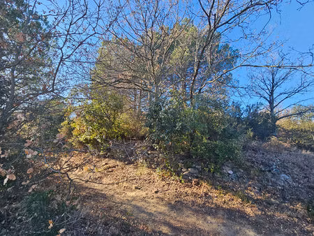 villelongue dels monts