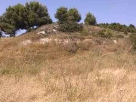 terrain avec ombre vue étang de vendres