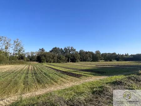 terrain agricole avec etang
