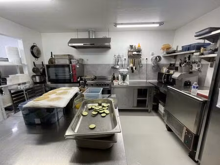 vente commerce plaisance-du-touch (31830)