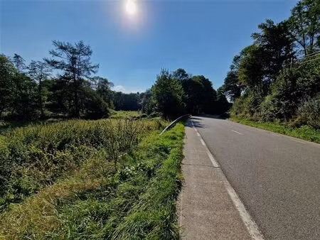 terrain à bâtire 41 71 ares | saint-hubert | jost-immo