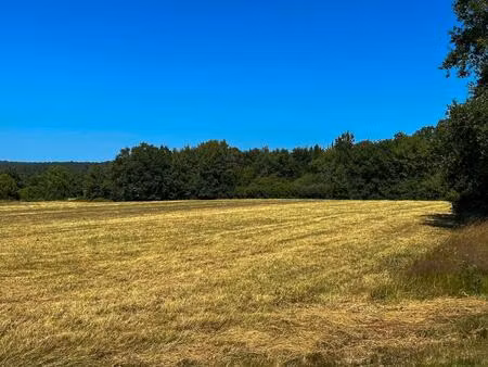 terrain st remy 9518 m2