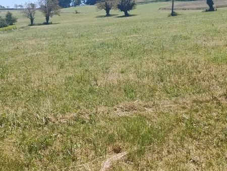 vente terrain 7350 m² à saint-projet (46300)  77 000 €