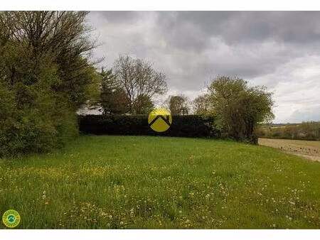 vente maison 1 pièce saint-georges-sur-moulon (18110)