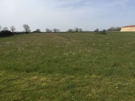 vente terrain 1385 m² niort (79000)