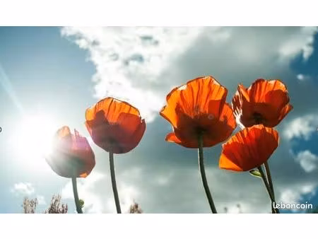 terrain 398 m² tremblay en france vert-galant