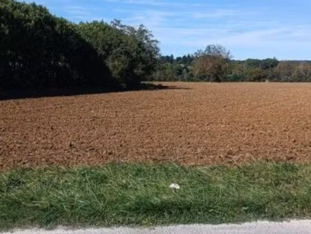 terrain constructible