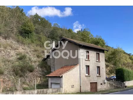 maison rénovée avec cour - proche boën-sur-lignon