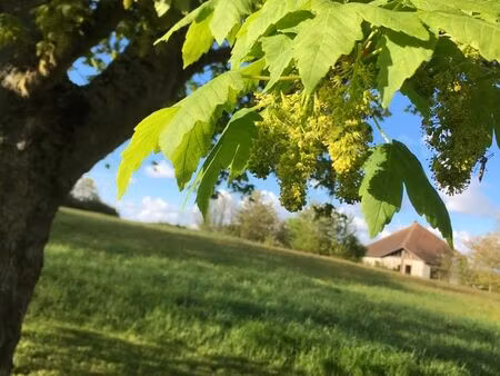 terrain constructible & viabilisé arboré (1800m2)