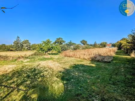 vente terrain à plélan-le-grand (35380) : à vendre / plélan-le-grand