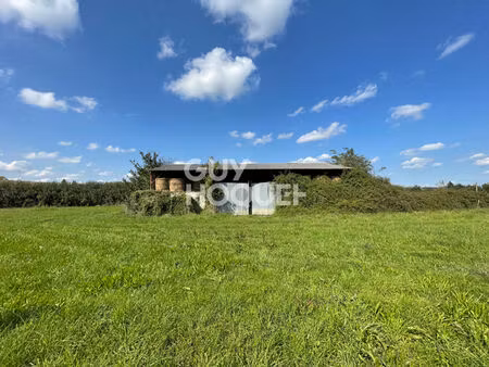 terrain en zone commerciale et agricole avec hangar de 375m²