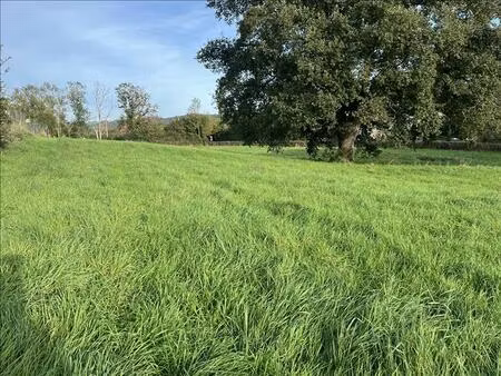 vente terrain 1785 m² vaux (03190)