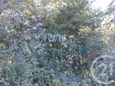 vente terrain à batir 890 m² à bétaille (46110)  14 000 €