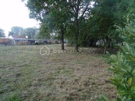 terrain commercial de 1 140 m² à coullons