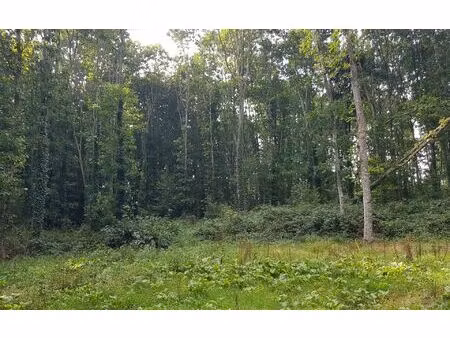 terrain saint-connan m² t- à vendre  76 300 €