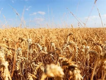 terrain à vendre à mont-saint-guibert € 204.180 (kwcht) - comptoir foncier | zimmo