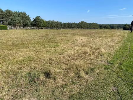 vente terrain 2300 m² à chatillon-sur-cher (41130)  33 500 €