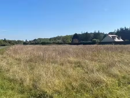 vente terrain 2860 m² à chatillon-sur-cher (41130)  28 500 €