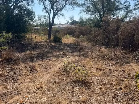 vente terrain 1100 m² à prunelli-di-fiumorbo (20243)  109 000 €